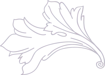 Line drawing of a stylized leaf with curves and swirls