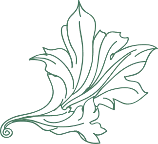 Stylized leaf with double outlines and a curled stem